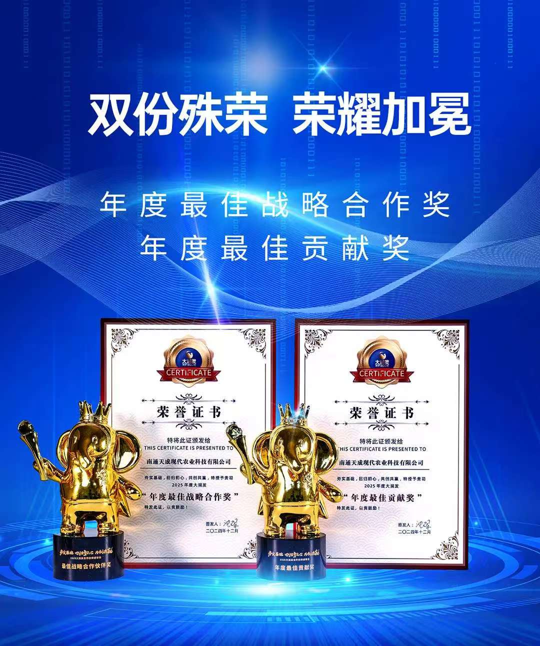 大润发×天成：双份殊荣 荣耀加冕
